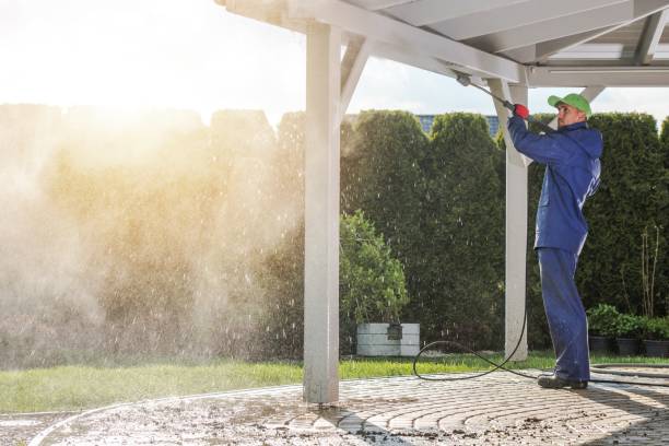 Window and Screen Pressure Cleaning